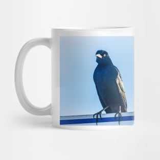 Boat-tailed Grackle 2 Mug